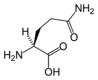 L-glutamin v keto dieti